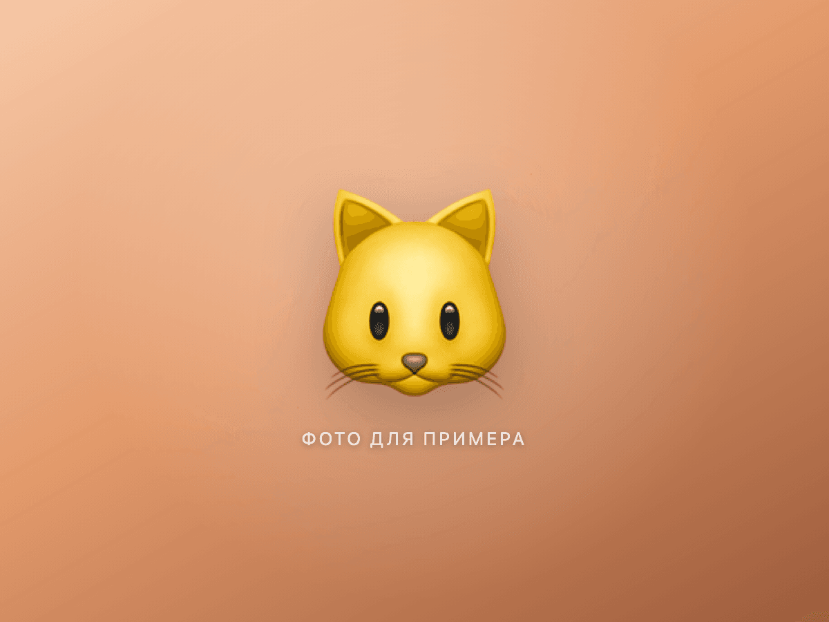 Кошка «Маня»